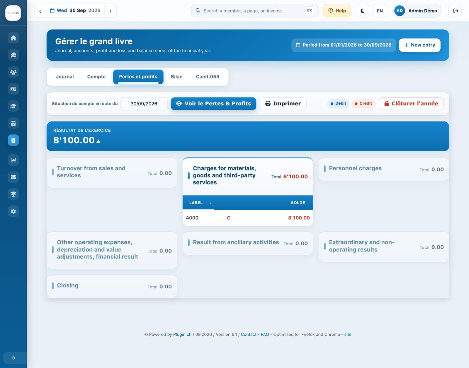 The profit and loss account for the financial year